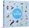 《手绘小动物百科》+《手绘鸟类百科》【未小读M码套装】【7-14岁】 商品缩略图2