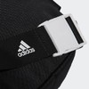 adidas阿迪达斯跑步运动训练腰包随身物品收纳包DZ9238A 商品缩略图5
