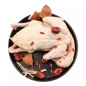 皖北 散养放养乳鸽 2只装 300g×2