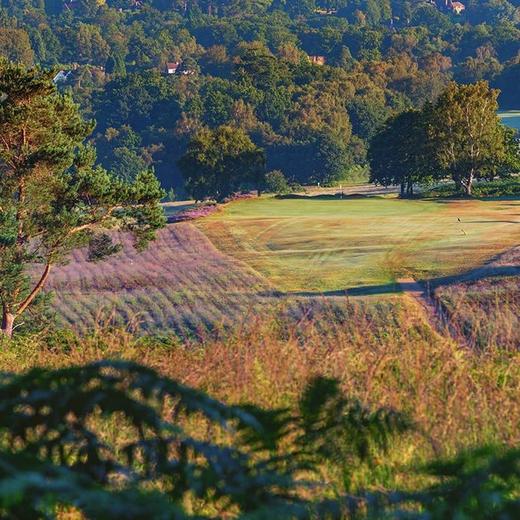 英格兰皇家阿什顿森林高尔夫俱乐部（老球场）Royal Ashdown Forest Golf Club(Old) | 英国高尔夫球场 俱乐部 | 欧洲高尔夫 商品图3