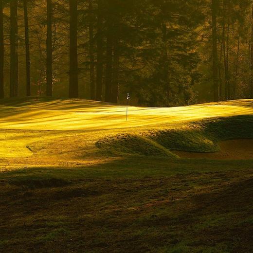 莱米迪奥克高尔夫俱乐部  Remedy Oak Golf Club | 伯恩茅斯高尔夫 | 英格兰高尔夫 | 英国高尔夫球场俱乐部 | 欧洲高尔夫 商品图3