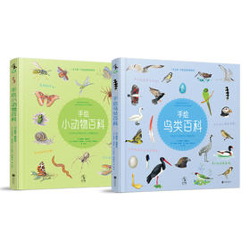 《手绘小动物百科》+《手绘鸟类百科》【未小读M码套装】【7-14岁】