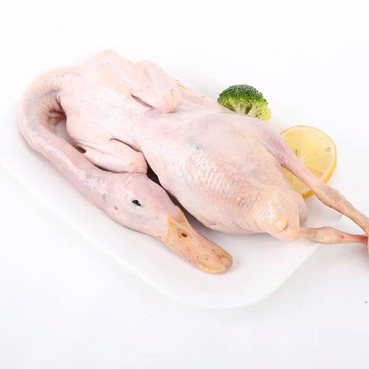 皖北 八里河散养嫩鸭 2只装 900g×2 商品图0