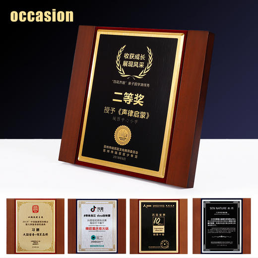 方形木质奖牌定制加盟代理牌匾荣誉证书颁奖制定金属授权牌定做 商品图1