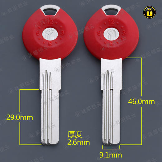 〖5050〗黑胶美利宝 商品图1