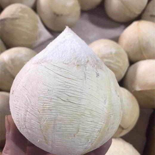 [最农公社]顺丰到家|泰国椰皇椰肉细嫩自带奶香4个/8个（单果400-500g） 商品图5