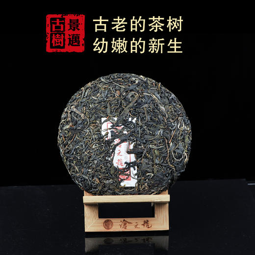 景迈古树 饼茶 357g 商品图4