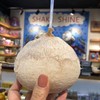 [最农公社]顺丰到家|泰国椰皇椰肉细嫩自带奶香4个/8个（单果400-500g） 商品缩略图3