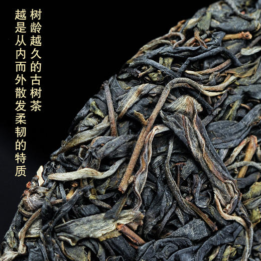 景迈古树 饼茶 357g 商品图2