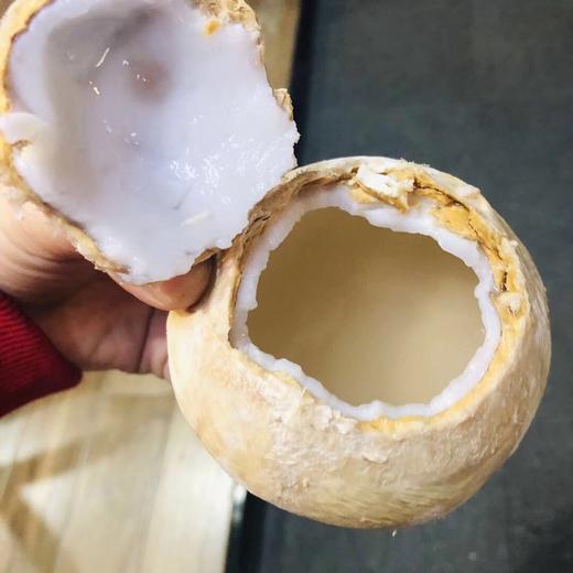 [最农公社]顺丰到家|泰国椰皇椰肉细嫩自带奶香4个/8个（单果400-500g） 商品图1