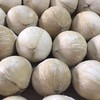 [最农公社]顺丰到家|泰国椰皇椰肉细嫩自带奶香4个/8个（单果400-500g） 商品缩略图8