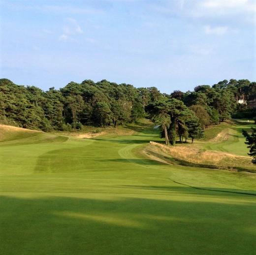 英格兰帕克斯通高尔夫俱乐部 Parkstone Golf Club | 英国高尔夫球场 俱乐部 | 欧洲高尔夫 商品图3