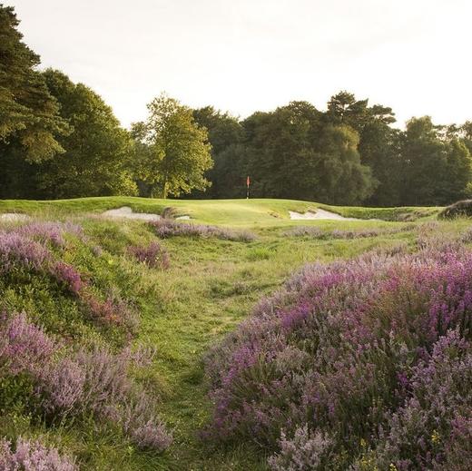 英格兰利普胡克高尔夫俱乐部 Liphook Golf Club | 英国高尔夫球场 俱乐部 | 欧洲高尔夫 商品图3