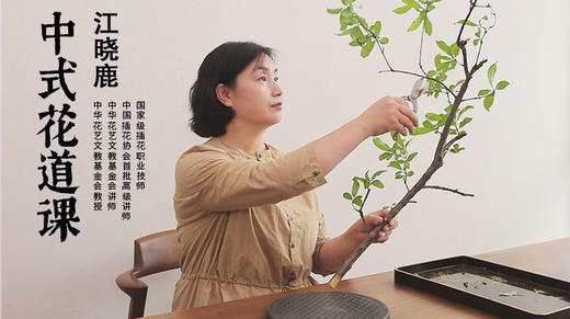 1.江晓鹿中式花道课 商品图0