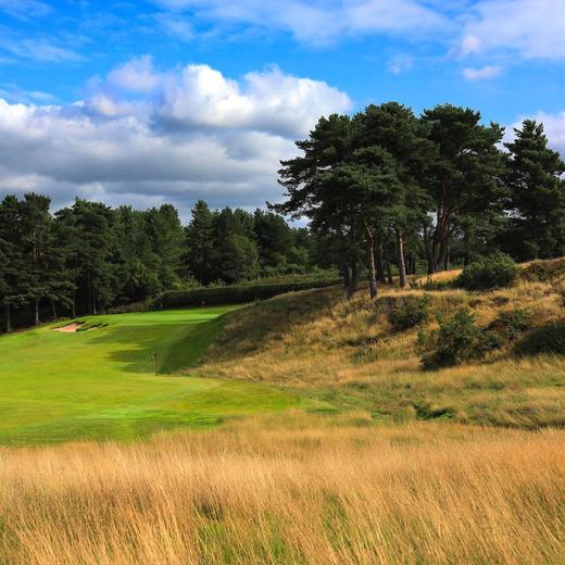 英格兰德拉米尔森林高尔夫俱乐部 Delamere Forest Golf Club | 英国高尔夫球场 俱乐部 | 欧洲高尔夫 商品图1