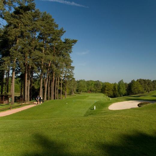 英格兰利普胡克高尔夫俱乐部 Liphook Golf Club | 英国高尔夫球场 俱乐部 | 欧洲高尔夫 商品图1
