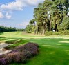 英格兰利普胡克高尔夫俱乐部 Liphook Golf Club | 英国高尔夫球场 俱乐部 | 欧洲高尔夫 商品缩略图0
