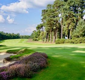 英格兰利普胡克高尔夫俱乐部 Liphook Golf Club | 英国高尔夫球场 俱乐部 | 欧洲高尔夫