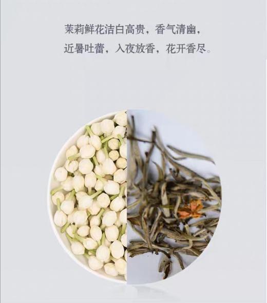 茉莉白毫银针 （五窨一提）散装茶 商品图4