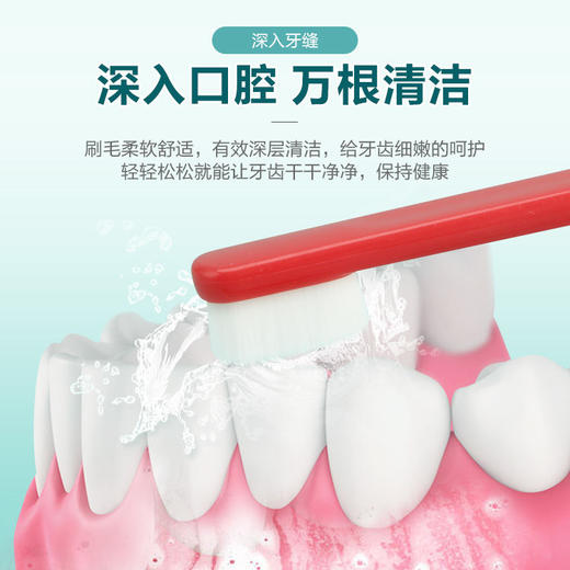 【万根刷毛洁净死角】牙刷软毛成人儿童牙刷套装 商品图3