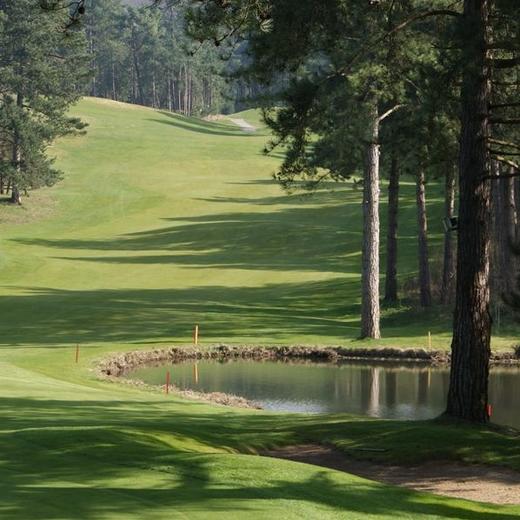 哈德洛特高尔夫球场 Golf d'Hardelot（Les Pines) | 布洛涅高尔夫球场 | 法国高尔夫球场俱乐部 | 欧洲高尔夫 商品图3
