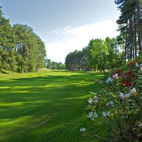 阿尔德洛高尔夫球场 Golf d'Hardelot（Les Pines) | 法国高尔夫球场 俱乐部 | 欧洲高尔夫
