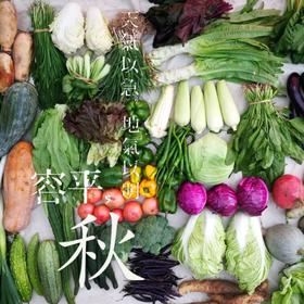 【体验装】当季蔬菜箱 不定制  | 食材本味 | 石嫣农场* Vegetables Box | Self-Produced