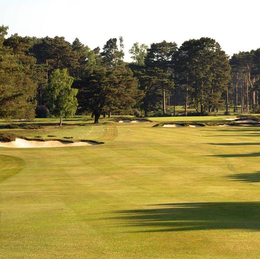 英格兰芬顿高尔夫俱乐部 Ferndown Golf Club | 英国高尔夫球场 俱乐部 | 欧洲高尔夫 商品图3