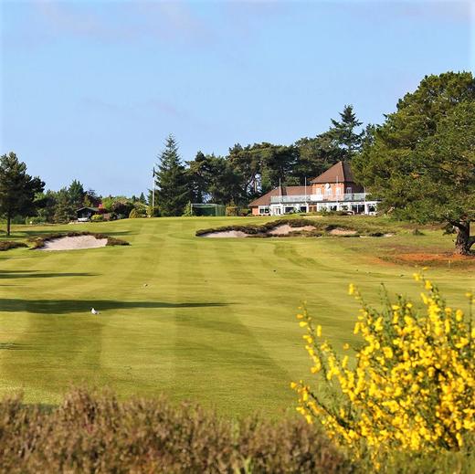 英格兰芬顿高尔夫俱乐部 Ferndown Golf Club | 英国高尔夫球场 俱乐部 | 欧洲高尔夫 商品图1