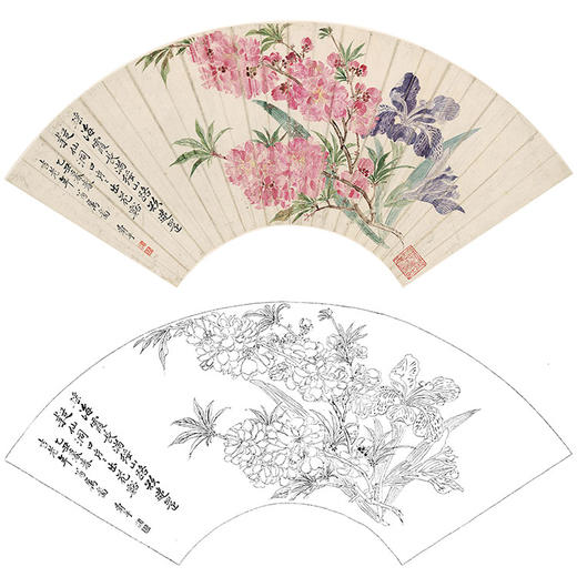 恽寿平没骨花鸟白描底稿扇面小品sp07