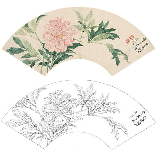 恽寿平没骨花鸟白描底稿-扇面小品-SP01 商品图0