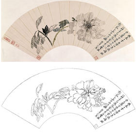 恽寿平没骨花鸟白描底稿-扇面小品-SP02