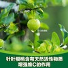 纽崔莱维生素C片(儿童型)100片/每片30毫克全天然维生素C全部从针叶樱桃提取/可嚼食/樱桃芳香 商品缩略图2