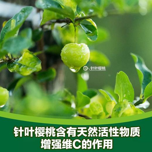 纽崔莱维生素C片(儿童型)100片/每片30毫克全天然维生素C全部从针叶樱桃提取/可嚼食/樱桃芳香 商品图2