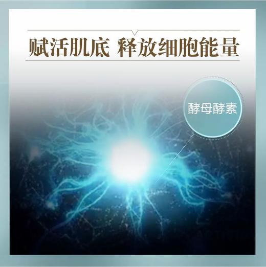 雅姿活肤肌底液/150毫升/排浊清肌/氧活肌底/提升吸收/绽放年轻光彩 商品图5