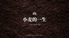 小麦的一生 商品缩略图0