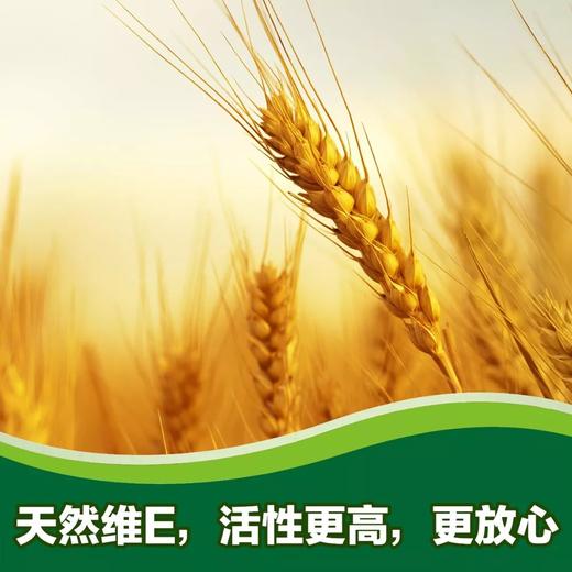 纽崔莱小麦胚芽油营养胶囊（维生素E）/每粒18毫克VE/每日1粒/保质期36个月 商品图5
