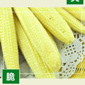 东升农场  有机玉米笋  珍珠笋 番麦笋 广州蔬菜新鲜配送 200g