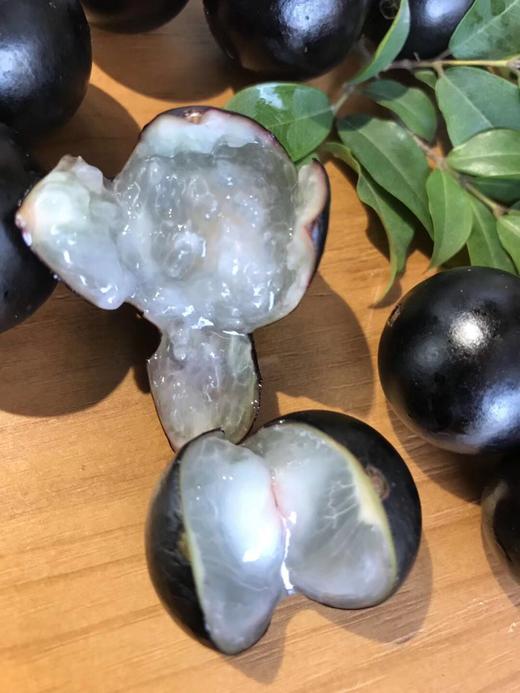 【巴西树葡萄】又名嘉宝果,果肉呈多汁半透明,甘甜无比气味芬芳甜度