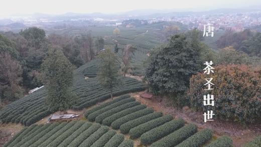 3.茶圣出世 商品图0