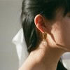 北京仓｜Alighieri-金高银同款- Fear and Desire-心怀热望 耳环 （不对称）［英国设计师］ 商品缩略图6