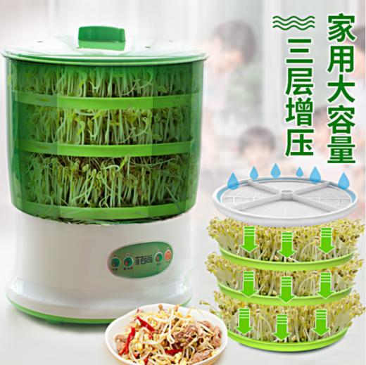豆芽机家用全自动大容量发豆牙机生黄豆绿豆芽盆芽罐 商品图1