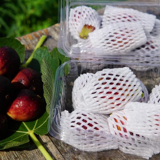 有机无花果（次品果）  | 绿家自产 *  Organic defective figs  | Self-production 商品图2