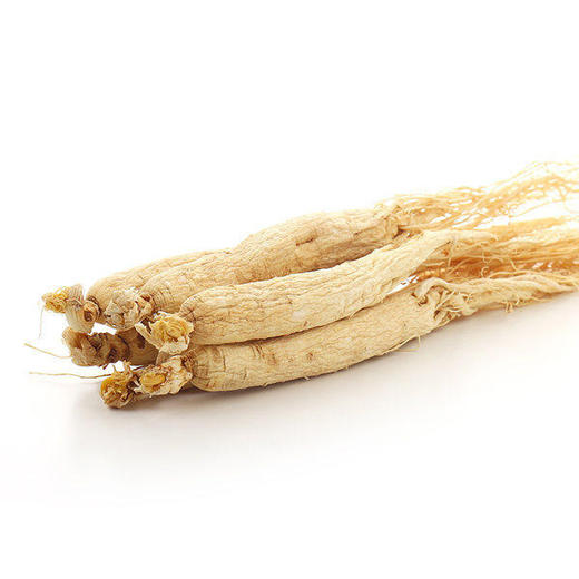 靠山庄大支白参100克