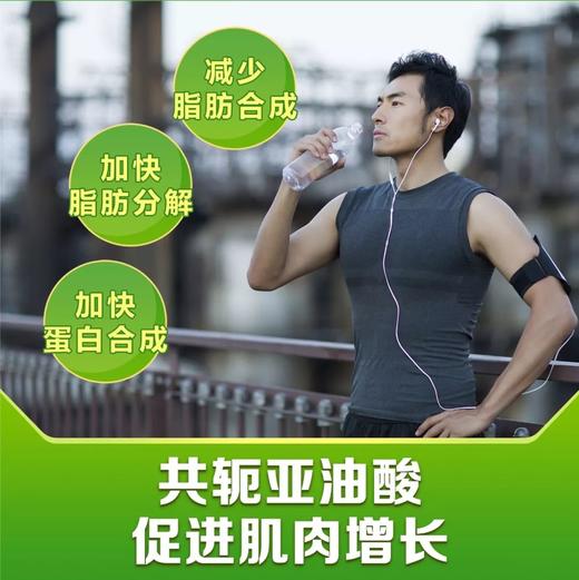 纽崔莱型体乐 /燃烧脂肪/增加肌肉/收减小腹/防止反弹/提高骨密度/每日两次每次四片 商品图4