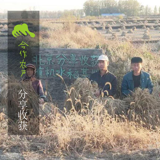 生态五常大米 | 公平贸易* Eco- Wuchang  Rice  | Fair trade 商品图3