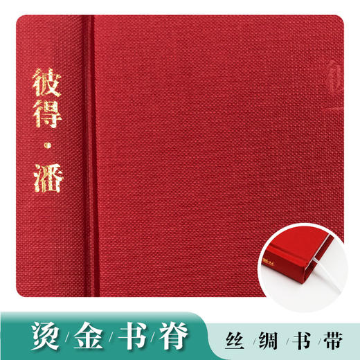 名zhu名译名绘版 彼得·潘 商品图2