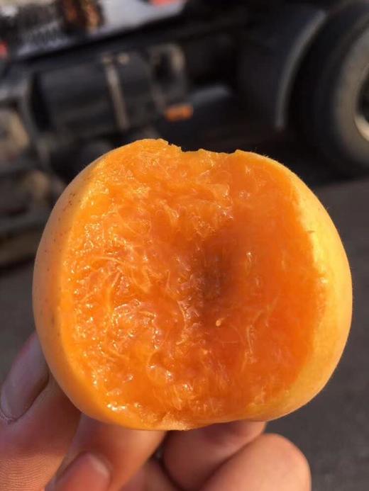 【新疆吊干蜜杏】树熟采摘后空运直达，软熟纯甜，一点都不酸，个头大吃起来有飙汁的感觉，实在是爽到家 商品图0