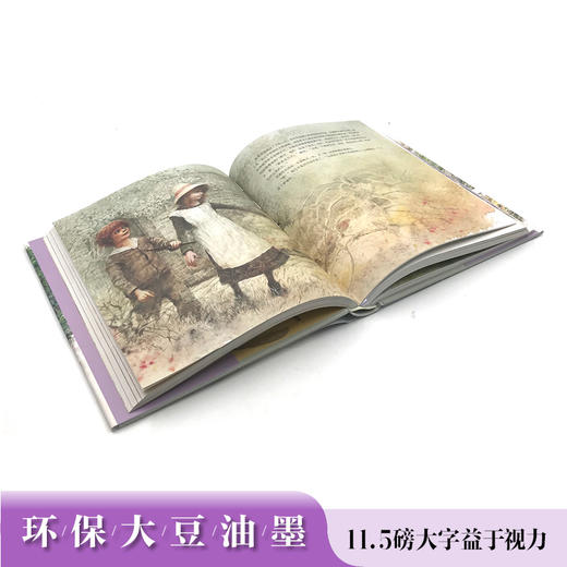 名著名译名绘版 秘密花园（精装全译插画版）7-10岁儿童读物 外国儿童文学经典名著 商品图4