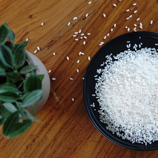 生态五常大米 | 公平贸易* Eco- Wuchang  Rice  | Fair trade 商品图1
